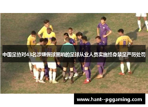 中国足协对43名涉嫌假球黑哨的足球从业人员实施终身禁足严厉处罚